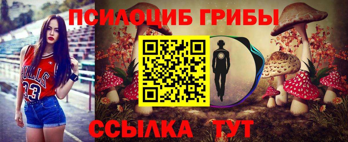 Галлюциногенные грибы Psilocybine cubensis Артёмовский